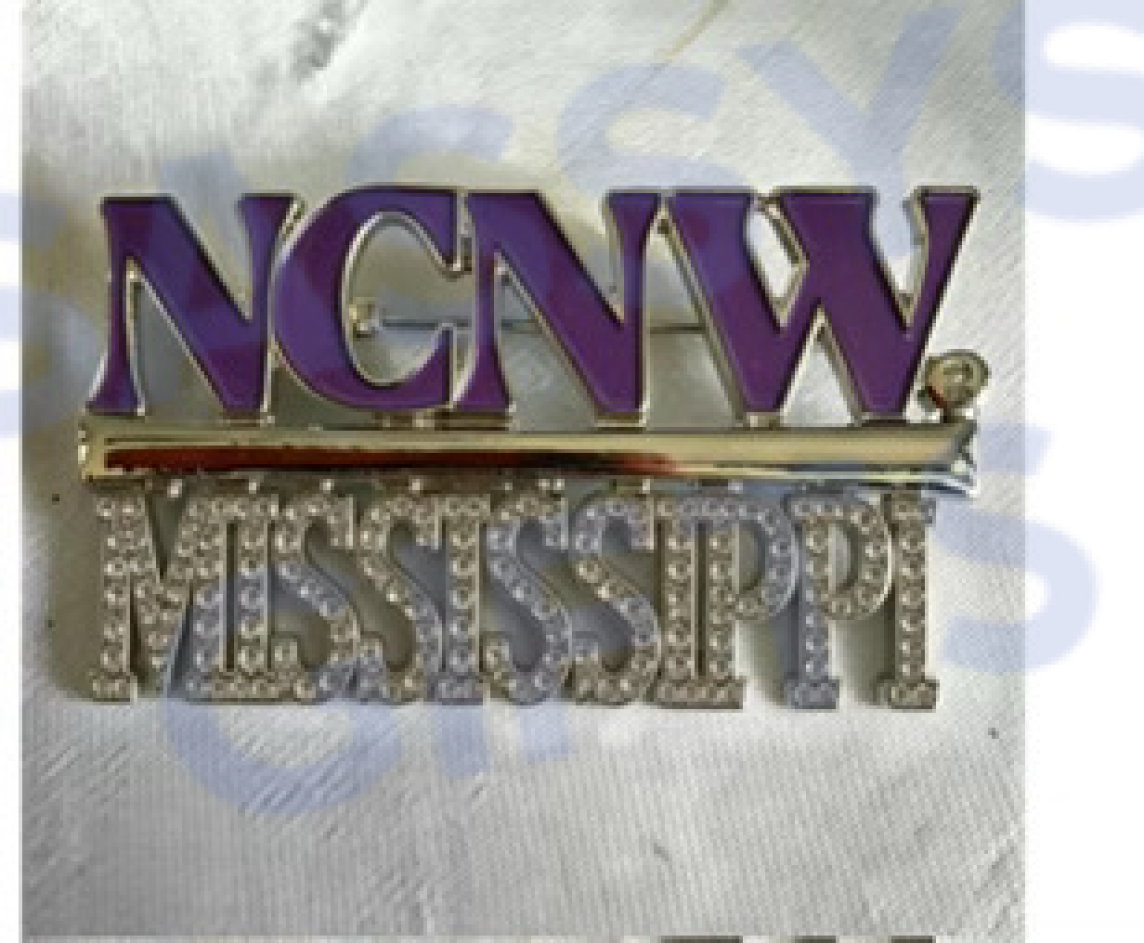 NCNW Mississippi