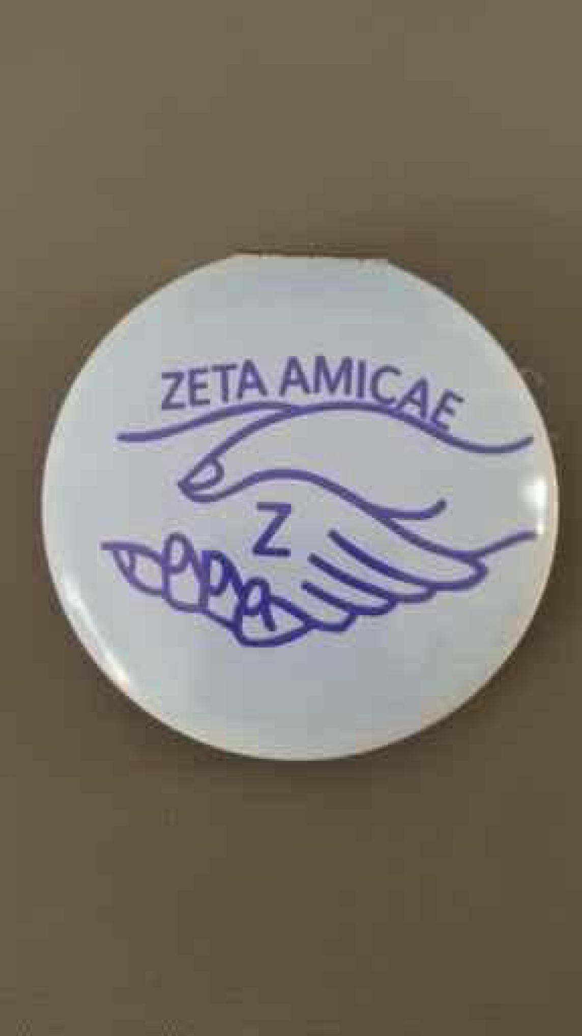 AMICAE Compact
